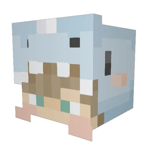 RaInBoW_bOiIi Minecraft avatar head, 3D render