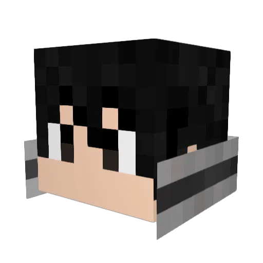 RaK4EvEr Minecraft avatar head, 3D render
