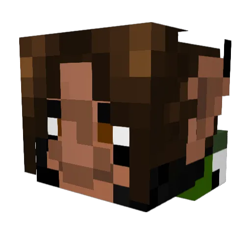RaN00bis Minecraft avatar head, 3D render