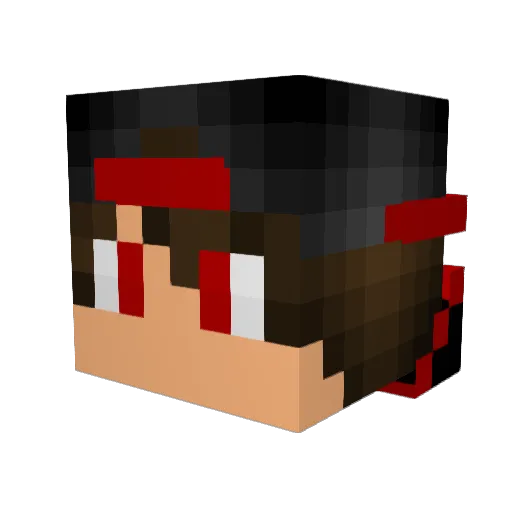 RaNTriX Minecraft avatar head, 3D render