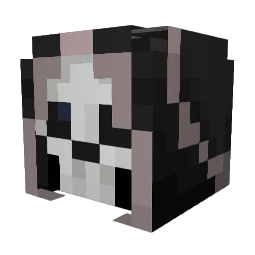 RaPiDz_FeAr12 Minecraft avatar head, 3D render