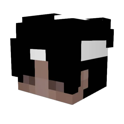 RaSti_ Minecraft avatar head, 3D render