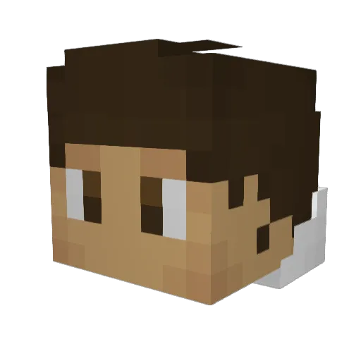 RaTaXu3 Minecraft avatar head, 3D render