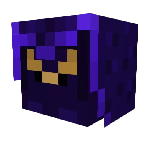 RaXor_Sharp Minecraft avatar head, 3D render