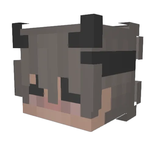 RaYaN_hi Minecraft avatar head, 3D render