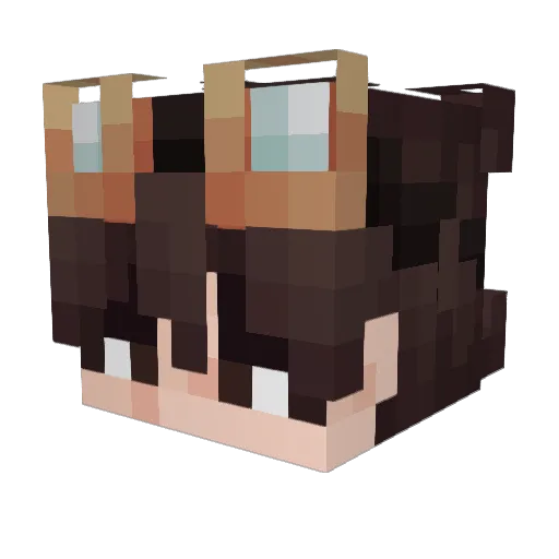 Ra__L Minecraft avatar head, 3D render