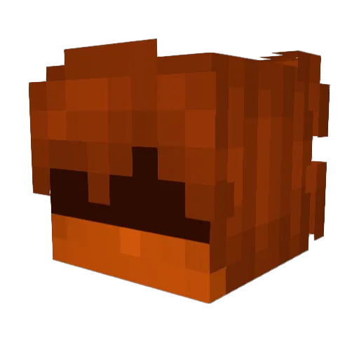 RaaWoo Minecraft avatar head, 3D render