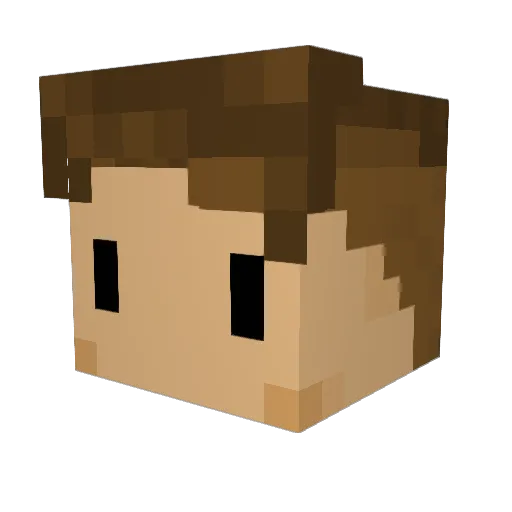 Raadpensionaris Minecraft avatar head, 3D render