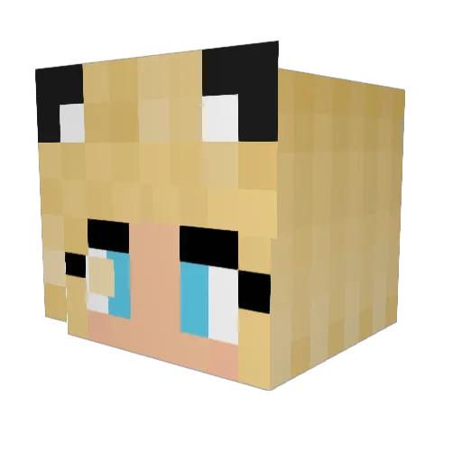 RaafOlie Minecraft avatar head, 3D render