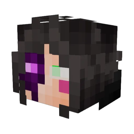Raagunax Minecraft avatar head, 3D render