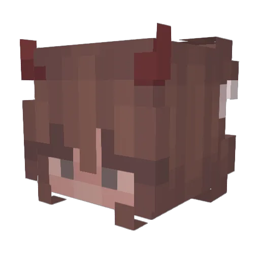 Raahgna Minecraft avatar head, 3D render