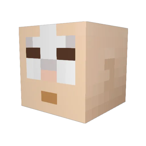 Raaiid Minecraft avatar head, 3D render
