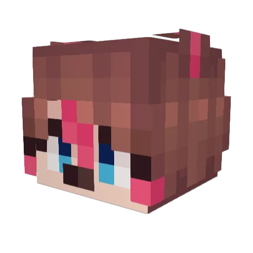 Raakkun Minecraft avatar head, 3D render
