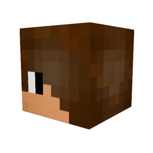 Raakoo Minecraft avatar head, 3D render
