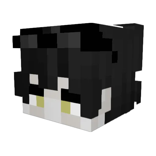 Raama7 Minecraft avatar head, 3D render