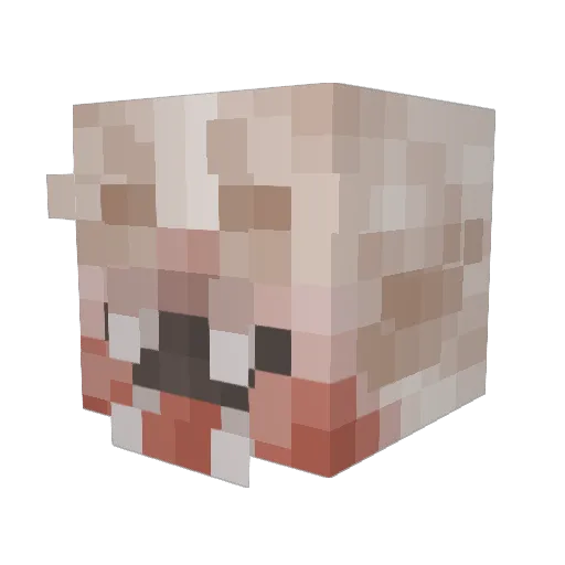 Raambe Minecraft avatar head, 3D render
