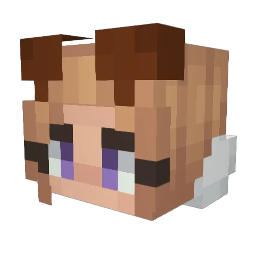 Raandomm Minecraft avatar head, 3D render