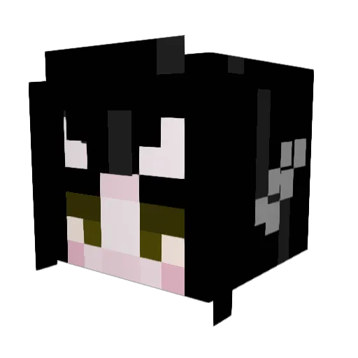 Raaven999 Minecraft avatar head, 3D render