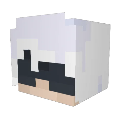 Raaypr Minecraft avatar head, 3D render