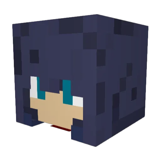 Raba05 Minecraft avatar head, 3D render