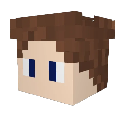 Rababertee Minecraft avatar head, 3D render