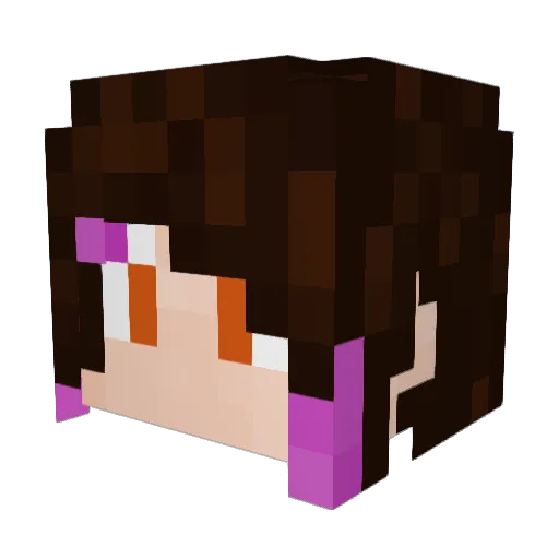 Rabahber Minecraft avatar head, 3D render