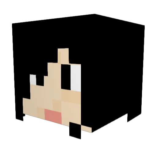 RabbidsL Minecraft avatar head, 3D render