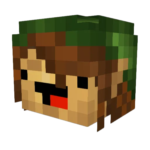 Rabbidsquile Minecraft avatar head, 3D render
