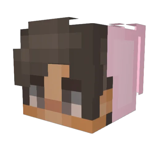 Rabbit3G Minecraft avatar head, 3D render