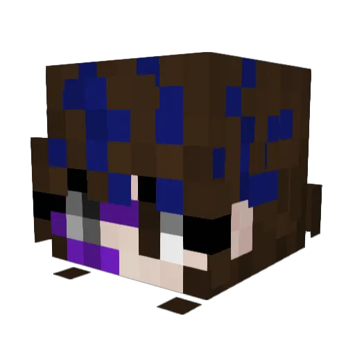 Rabbit_Assassin3 Minecraft avatar head, 3D render