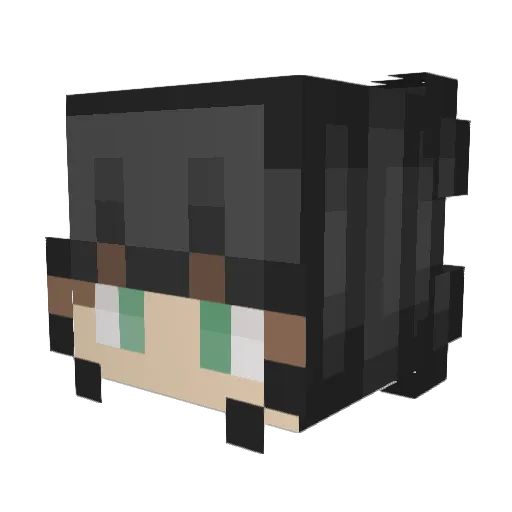 Rabbit_Bun Minecraft avatar head, 3D render