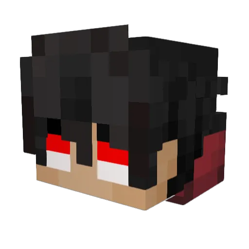 Rabbit_Master1 Minecraft avatar head, 3D render