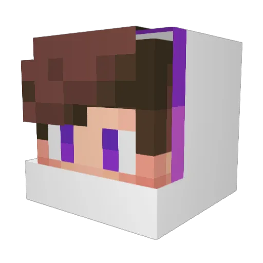 Rabbitking1 Minecraft avatar head, 3D render