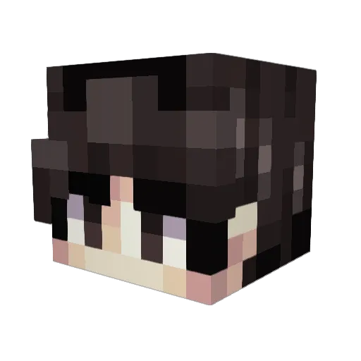 Rabbits_22 Minecraft avatar head, 3D render