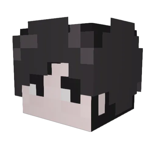 Rabbitsyt721 Minecraft avatar head, 3D render