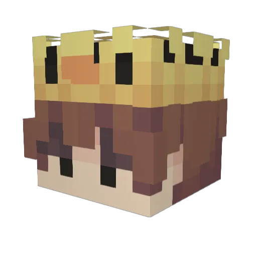 Rabbyt67 Minecraft avatar head, 3D render