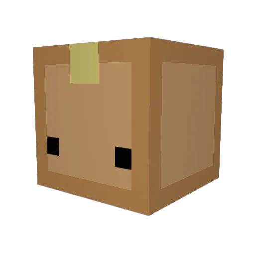 RabeCC Minecraft avatar head, 3D render