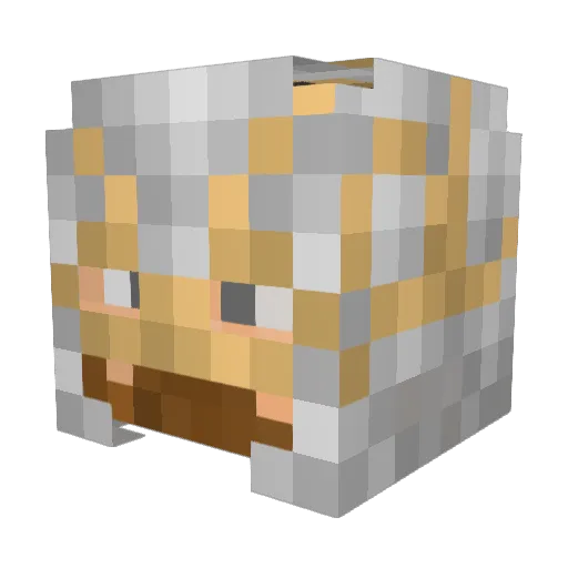 Rabenblut Minecraft avatar head, 3D render