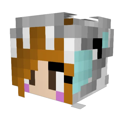 Rabenschatten Minecraft avatar head, 3D render