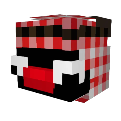 Rabenvater161 Minecraft avatar head, 3D render