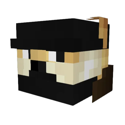 RabidDoge Minecraft avatar head, 3D render