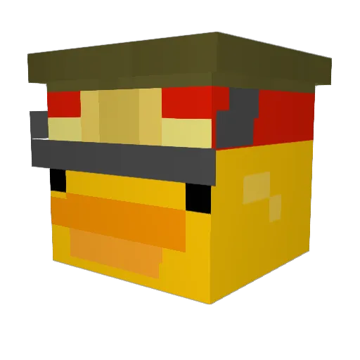 RabidDuck69 Minecraft avatar head, 3D render
