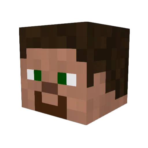 Rabidfish Minecraft avatar head, 3D render