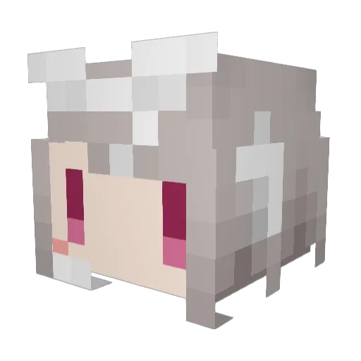 Rabirine02 Minecraft avatar head, 3D render