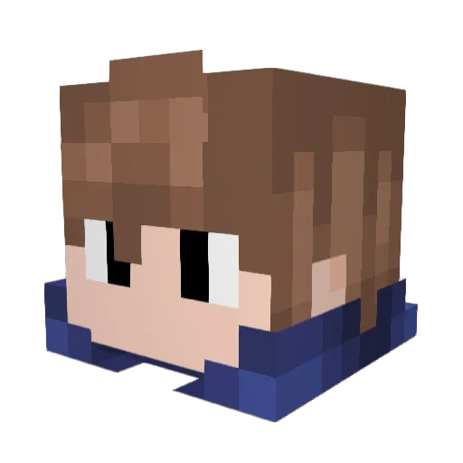 RabitThunder493 Minecraft avatar head, 3D render