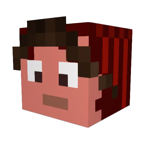 Rabonator Minecraft avatar head, 3D render