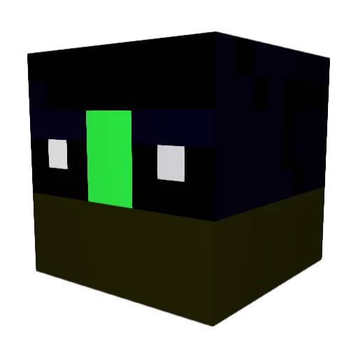Raboot1 Minecraft avatar head, 3D render