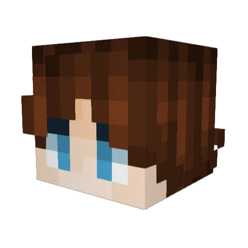 Rabow245 Minecraft avatar head, 3D render