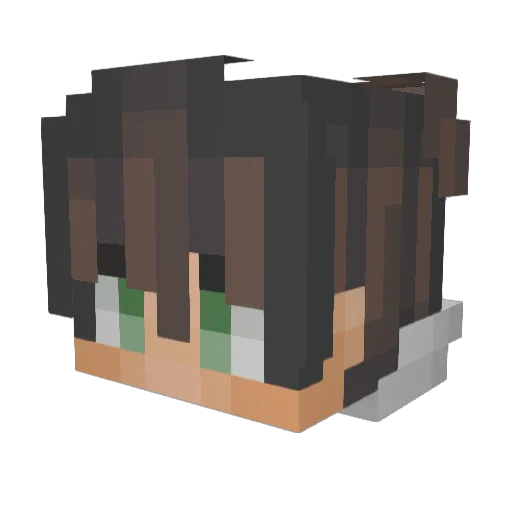 Rabsepa Minecraft avatar head, 3D render