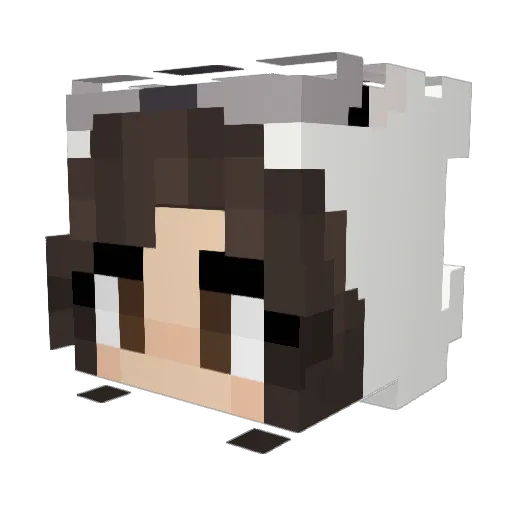Rabsii Minecraft avatar head, 3D render